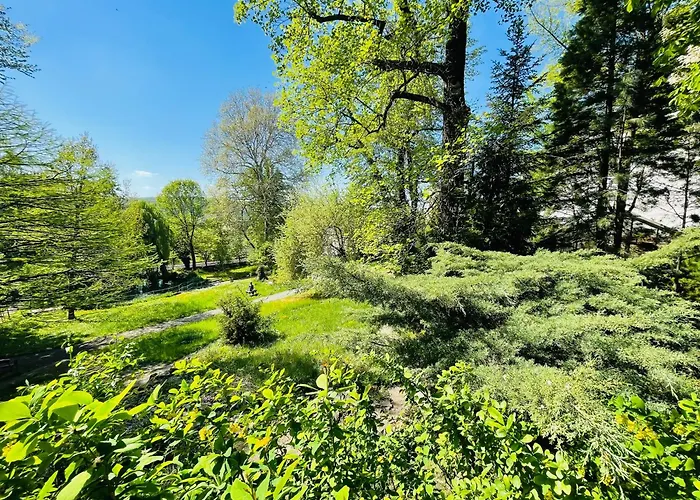 Appartement Klassik Design-luxus-apartment, Nahe Marktplatz Gera